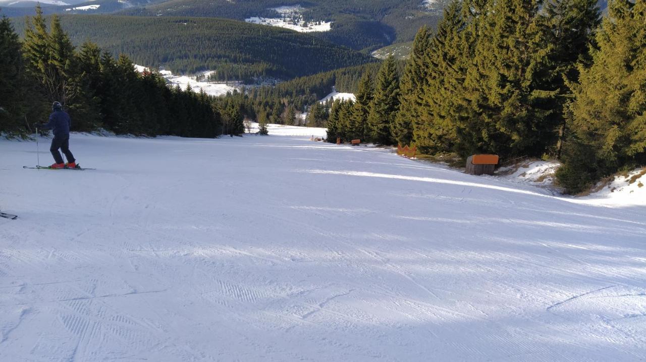 44 Slaska Kamienna Gora Exteriér fotografie